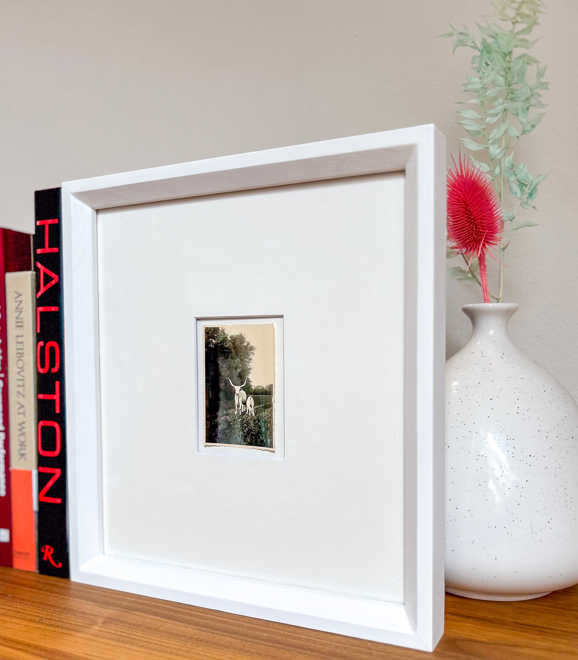 Strong as an ox - Framed Vintage Cattle Photograph – 1940s B&W Oxen Print in Custom Frame