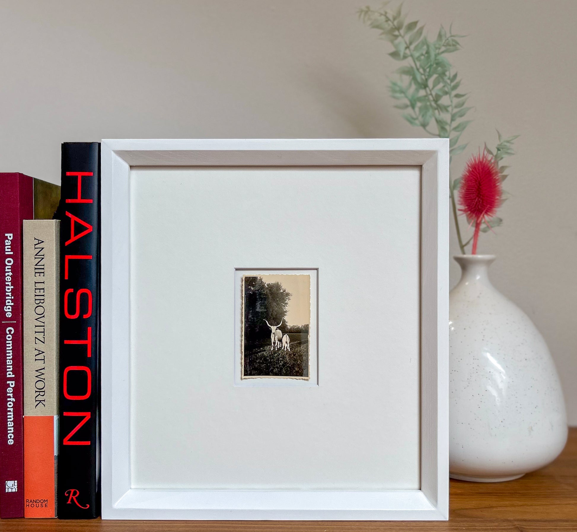 Strong as an ox - Framed Vintage Cattle Photograph – 1940s B&W Oxen Print in Custom Frame