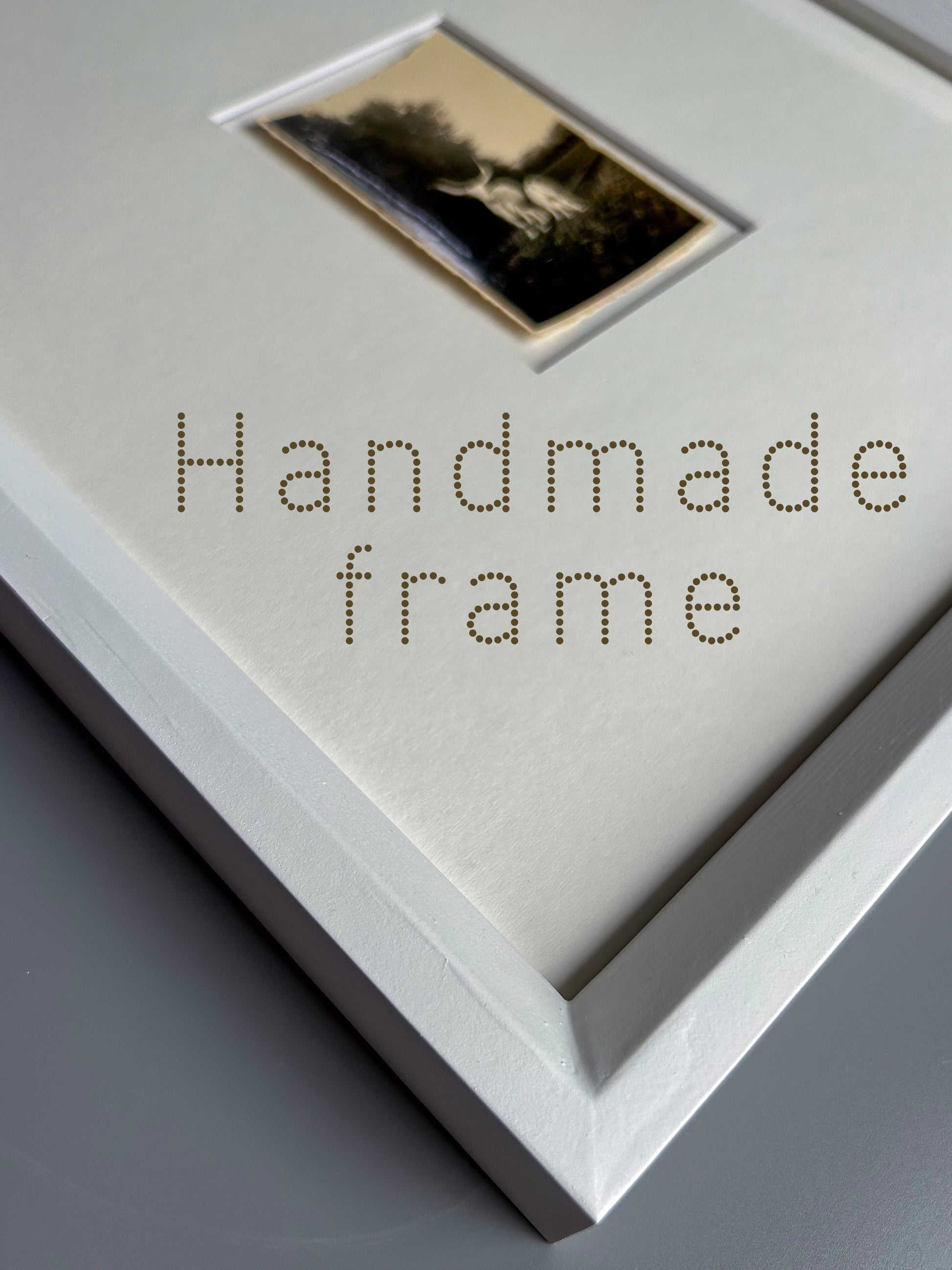 Strong as an ox - Framed Vintage Cattle Photograph – 1940s B&W Oxen Print in Custom Frame
