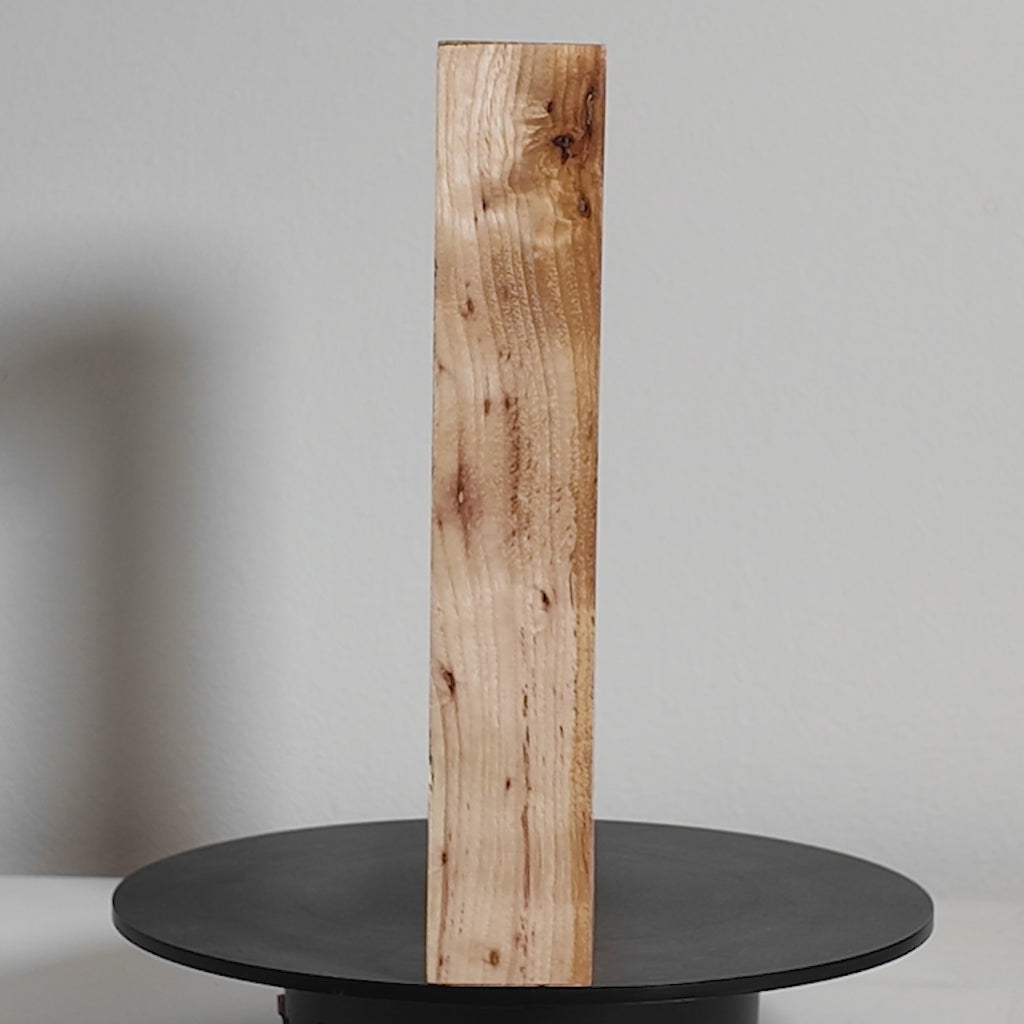 custom picture frame made in Europe Spalted maple 10x10 inches